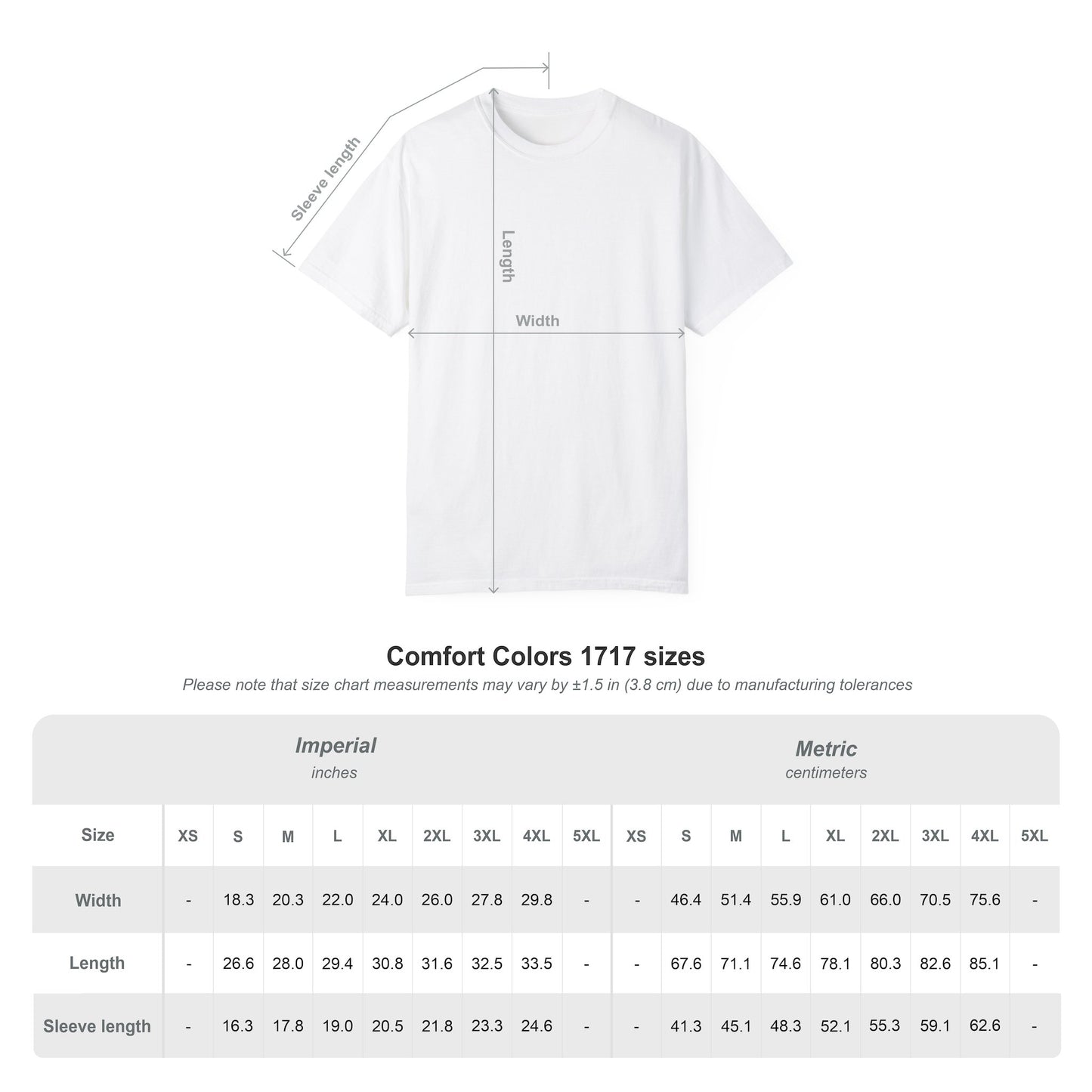 Cozy Book Lover's T-Shirt